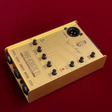 L.R.Baggs 50th Anniversary Gold Para DI 【未展示在庫】【国内300台限定】【LR Baggs社50周年記念モデル】_4