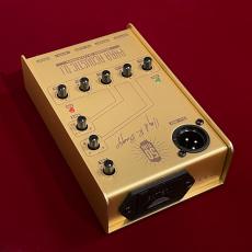 L.R.Baggs 50th Anniversary Gold Para DI 【未展示在庫】【国内300台限定】【LR Baggs社50周年記念モデル】_5