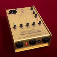 L.R.Baggs 50th Anniversary Gold Para DI 【未展示在庫】【国内300台限定】【LR Baggs社50周年記念モデル】_6
