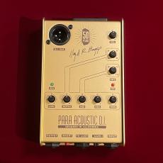 L.R.Baggs 50th Anniversary Gold Para DI 【未展示在庫】【国内300台限定】【LR Baggs社50周年記念モデル】_7