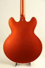 KING SNAKE Smith / Orange Brown Viper_9