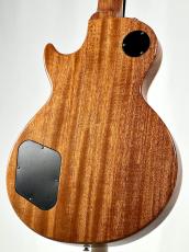 Tokai LS-201S/WA-CM -Gold Top-【4.11kg】【名古屋店オーダーモデル】_6