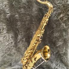 YANAGISAWA T-WO1