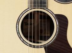 Taylor 【ES2 / 旧仕様最後の1本!】814ce V-Class_5