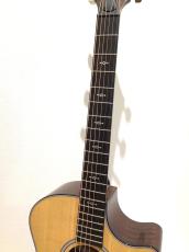 Taylor 314ce Next Generation_4