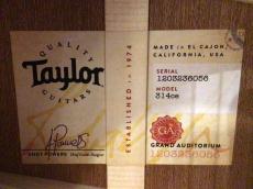 Taylor 314ce Next Generation_9