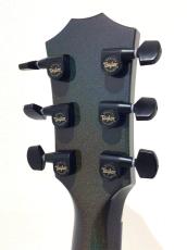 Taylor CT5z B5009 T5z Holographic Pearl_8