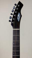 Prohaszka Guitars Drooid_9
