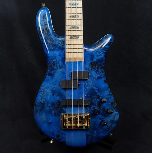 Spector Euro 4 CST Japan Exclusive Black & Blue w/White Back Gloss ★盛夏SALE☆