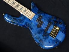 Spector Euro 4 CST Japan Exclusive Black & Blue w/White Back Gloss ★盛夏SALE☆_3