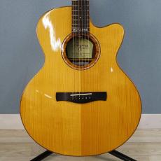 AYERS Ayers SJ-07-C 1996 DXA 2.0 ESN JP-Custom