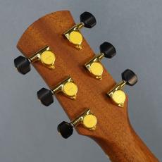 AYERS Ayers SJ-07-C 1996 DXA 2.0 ESN JP-Custom_4