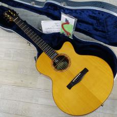 AYERS Ayers SJ-07-C 1996 DXA 2.0 ESN JP-Custom_5