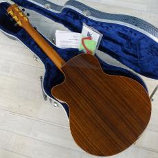 AYERS Ayers SJ-07-C 1996 DXA 2.0 ESN JP-Custom_6