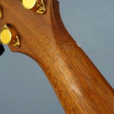 AYERS Ayers SJ-07-C 1996 DXA 2.0 ESN JP-Custom_9