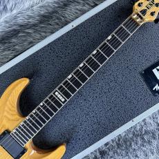 ESP HORIZON-II NAT MOD_3