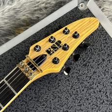ESP HORIZON-II NAT MOD_4