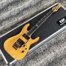 ESP HORIZON-II NAT MOD_5