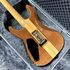 ESP HORIZON-II NAT MOD_6