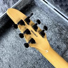 ESP HORIZON-II NAT MOD_8