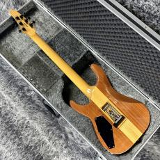 ESP HORIZON-II NAT MOD_9