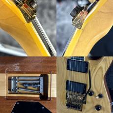 ESP HORIZON-II NAT MOD_10
