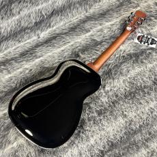 Dobro Hound Dog M-14 Metal Body_9