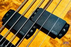 Fodera 6 Strings Bass Elite / 1983_3