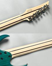 Ibanez 【Spalted Maple Top】【葉月(HAZUKI)Model】HZK1  #F2616502【3.60KG】_10