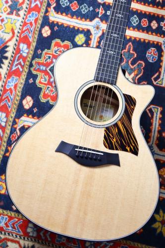 Taylor 【Taylorの進化を体感】312ce Next generation #1202266046【送料当社負担・最大48回無金利】