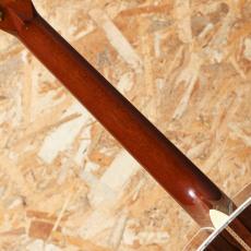Martin CTM D-45 Madagascar Rosewood Anaheim 2012_7