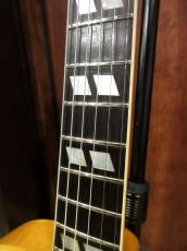 Gibson 1962 Gibson ES-350TDN "PAF Pickup"_4