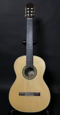 Takamine No.100FH