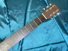 Martin D Jr-10E Fishman_3