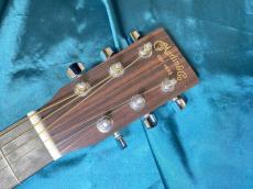 Martin D Jr-10E Fishman_4