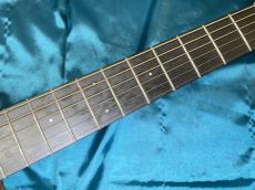 Martin D Jr-10E Fishman_5