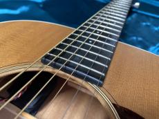 Martin D Jr-10E Fishman_6