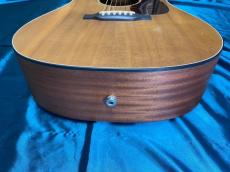 Martin D Jr-10E Fishman_8