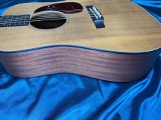Martin D Jr-10E Fishman_9