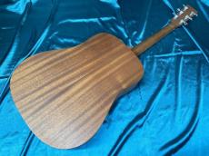 Martin D Jr-10E Fishman_11