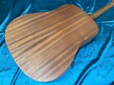 Martin D Jr-10E Fishman_12