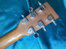 Martin D Jr-10E Fishman_13