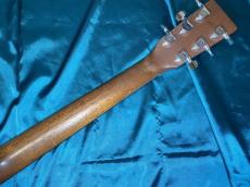 Martin D Jr-10E Fishman_14