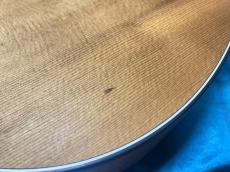Martin D Jr-10E Fishman_16