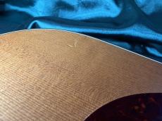 Martin D Jr-10E Fishman_17