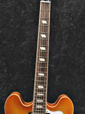 Epiphone 【半期決算セール】Riviera -Royal Tan- #24111512490【3.48kg】_5