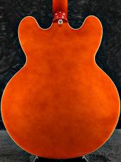 Epiphone 【半期決算セール】Riviera -Royal Tan- #24111512490【3.48kg】_8