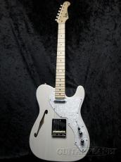 FUJIGEN NTE100MAHT WB _2