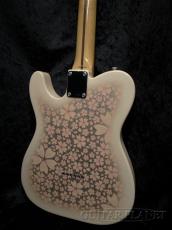 Tokai ATE-101 SKR Sakura 【極少限定生産】_3