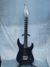 Caparison Dellinger HGS SE -Midnight Blue- 2006年製【Made In Japan】_3